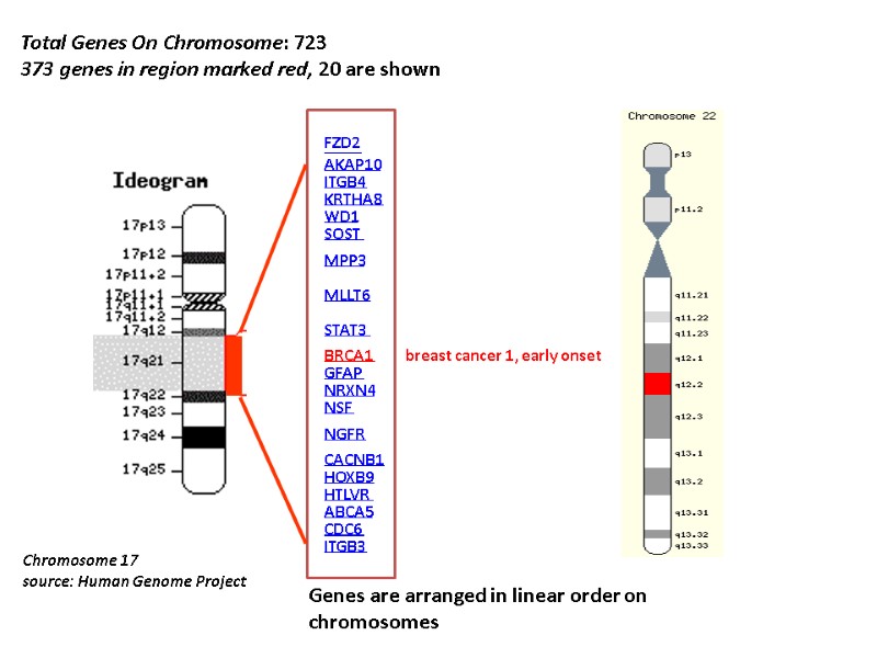 Total Genes On Chromosome: 723 373 genes in region marked red, 20 are shown